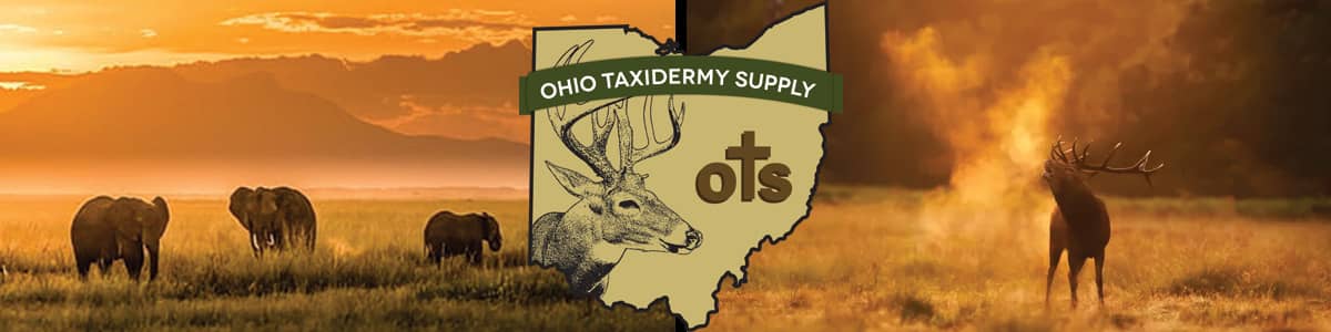 Ohio Taxidermy Supply, Inc.
